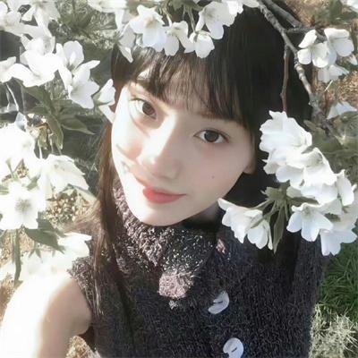 生命之环